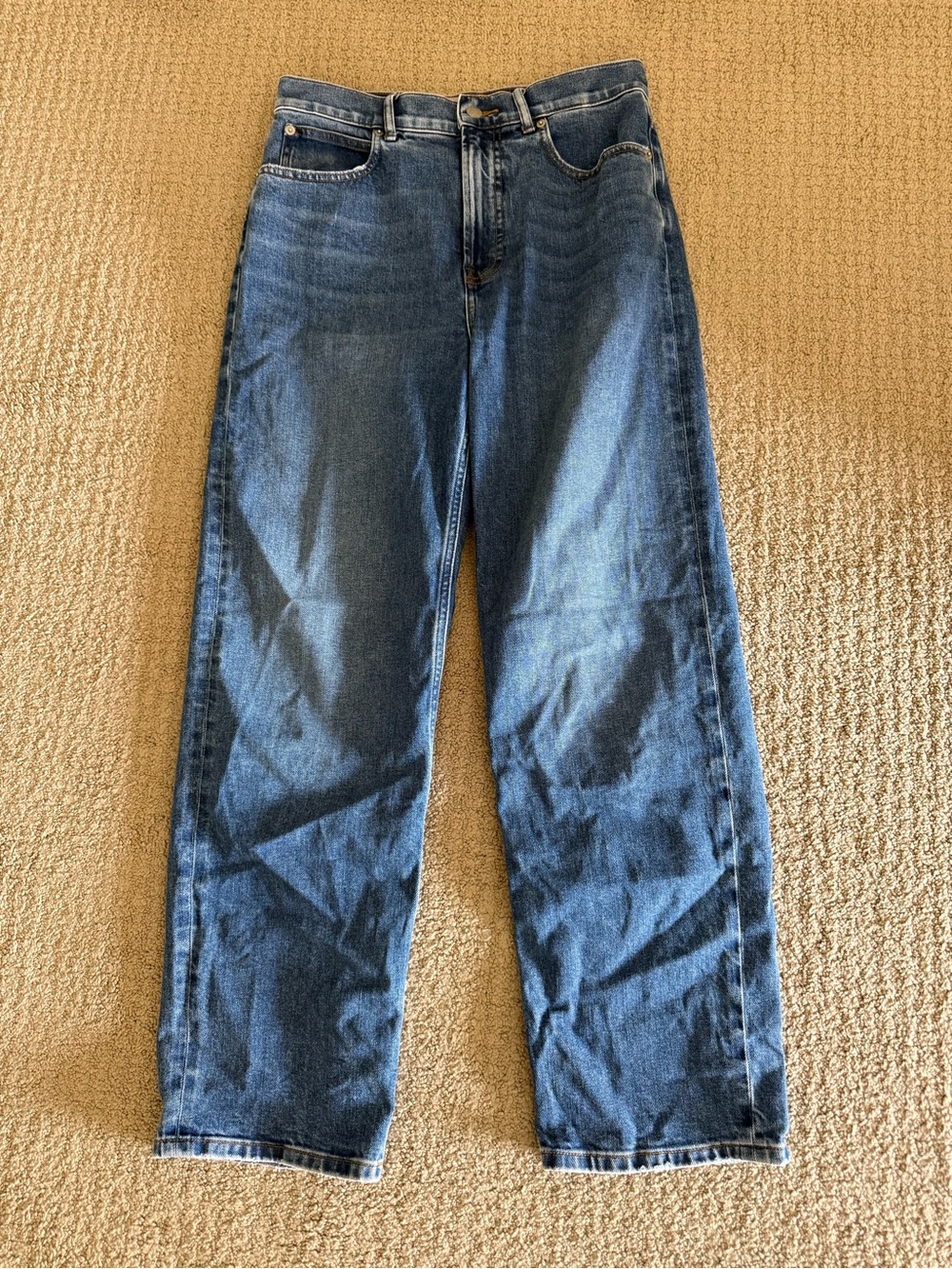 Everlane The Way High Jeans 28L